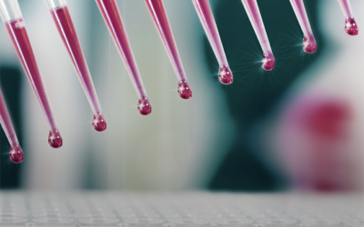 Il sangue aiuta a prevedere l’andamento della meningite