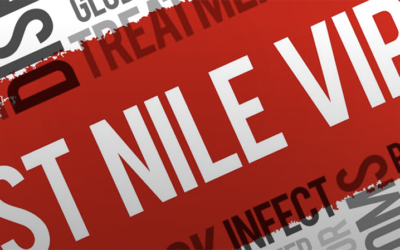 West Nile Virus, le misure di prevenzione previste dal Piano nazionale