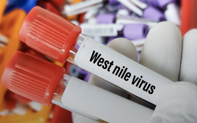 West Nile Virus, le misure di prevenzione 2022
